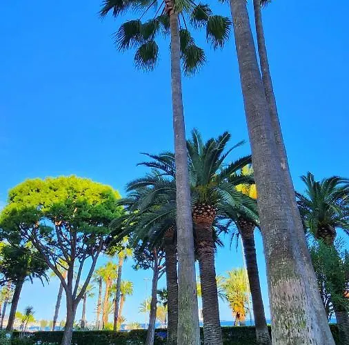 Front De Mer - 3 Star Apartmán