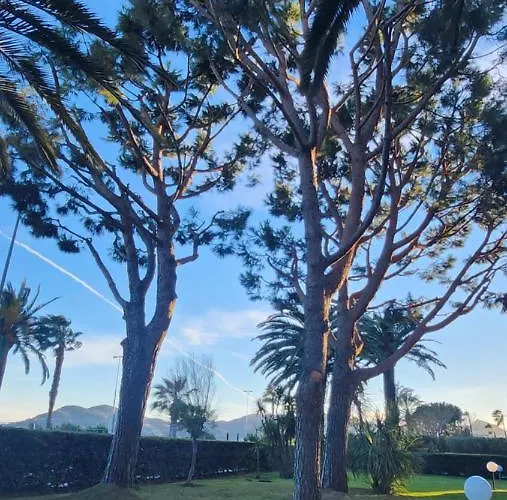 Front De Mer - 3 Star * Cannes